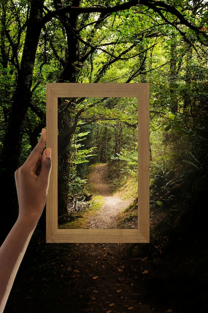 Free photo nature landscape with hand holding frame