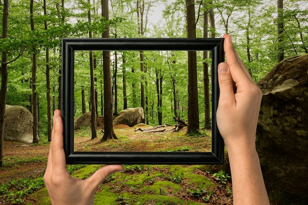 Free photo nature landscape with hand holding frame