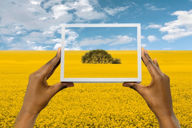 Nature landscape with hand holding frame