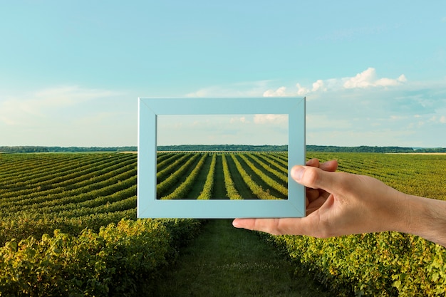 Free Photo nature landscape with hand holding frame