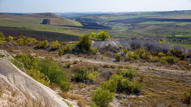 Nature of Moldova, bushes, sparse grass, wide plains with sown fields