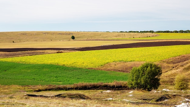 Free photo nature of moldova, sown fields with various agricultural crops