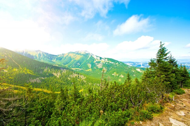 Nature in mountains.