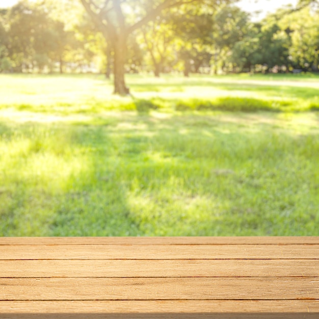 Nature product backdrop, green backyard