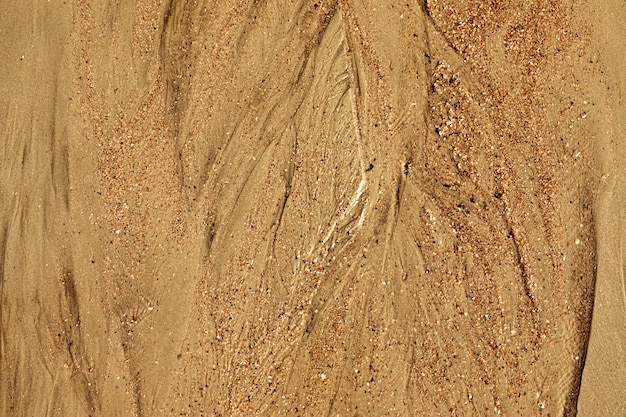 Natures art Closeup of sand with tidal ways and shells on the beach full frame texture background