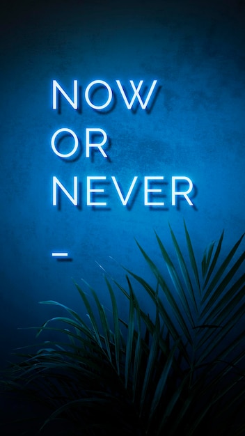 Free Photo neon blue now or never sign on a wall