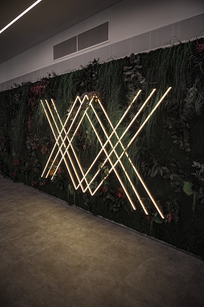 Free Photo neon lights on wall with plants and flowers