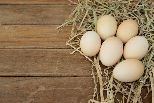 Free photo nest easter wood kitchen market