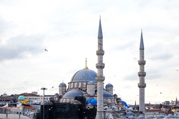 Free Photo new mosque in istanbul at cloudy weather with residential buildings around and flying birds, turkey