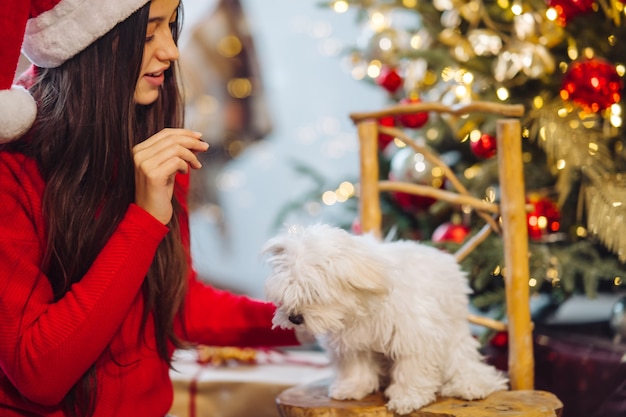 On New Years Eve, a woman plays with a small dog. New year with a friend