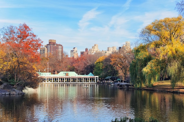 Free photo new york city central park in autumn