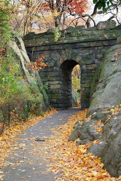 New York City Central park