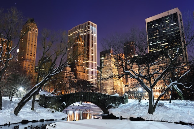 New York City Manhattan Central Park panorama at dusk