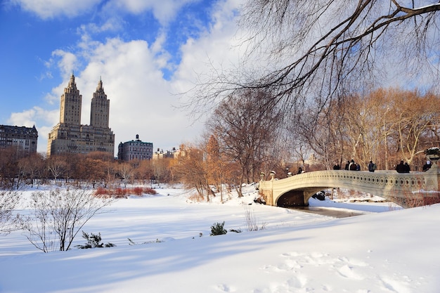 Free photo new york city manhattan central park panorama in winter