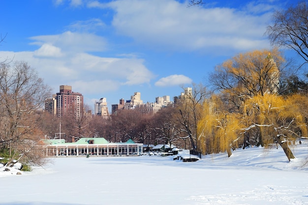 Free photo new york city manhattan central park panorama