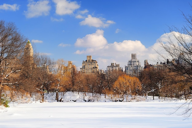 New York City Manhattan Central Park panorama