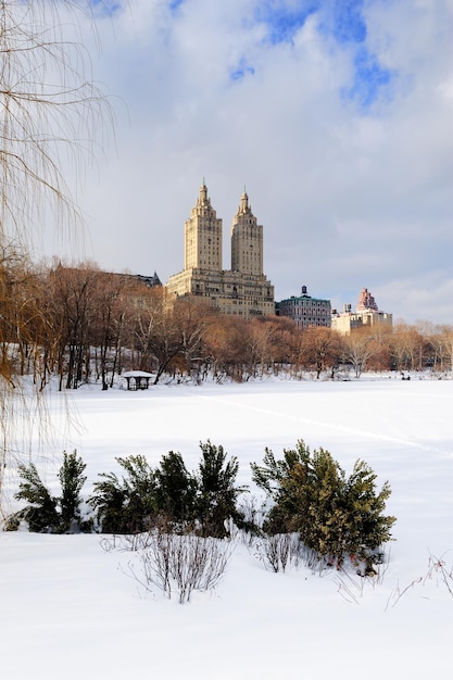 Free Photo new york city manhattan central park in winter