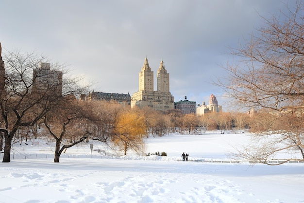 New York City Manhattan Central Park in winter