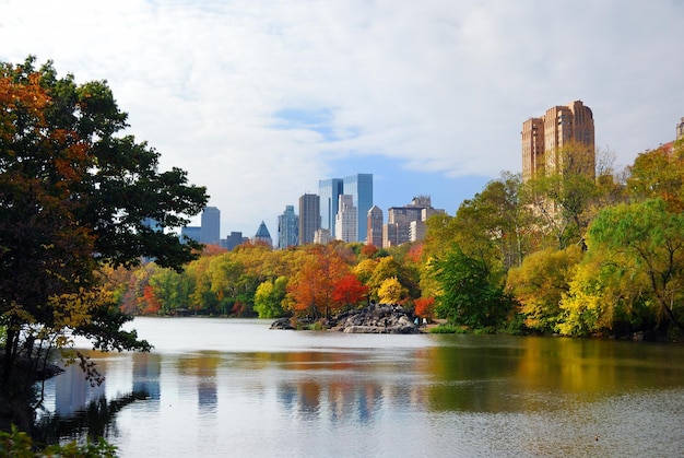 Free photo new york city manhattan central park