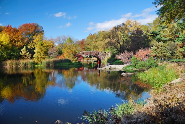 Free Photo new york city manhattan central park