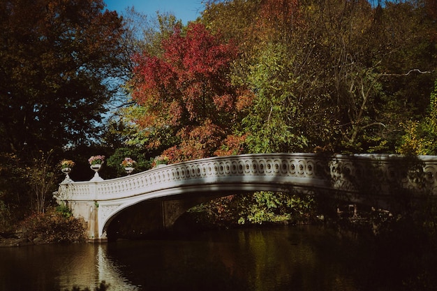 New York Manhattan Central Park in autumn, bridge over the lake.