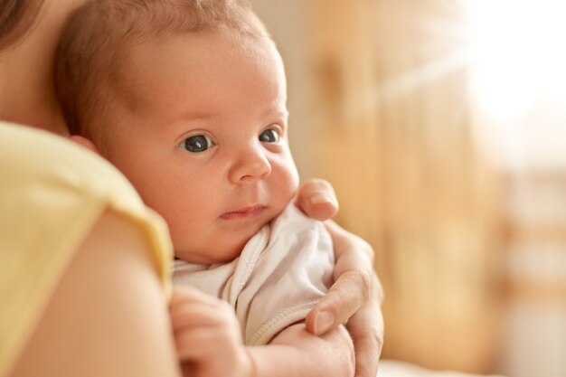 Newborn baby on her mothers arms, looking away and studying outward things, faceless mum with child indoor, cute infant with mum.