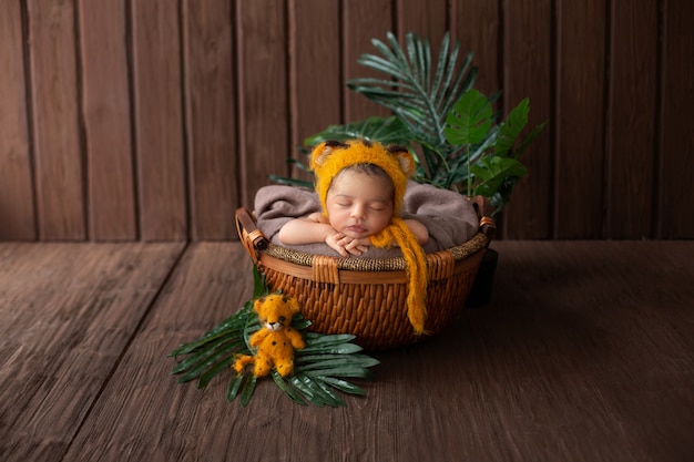 Newborn baby pretty and likeable infant resting in yellow animal shaped hat and inside brown basket surrounded by green plants in wooden room