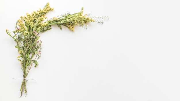 Nice bouquet of field flowers