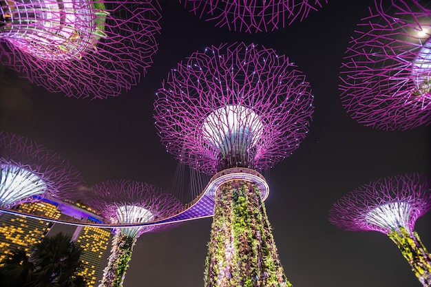 Free photo night view of supertree grove at gardens by the bay in singapore. spanning 101 hectares of reclaimed land in central singapore, adjacent to the marina reservoir