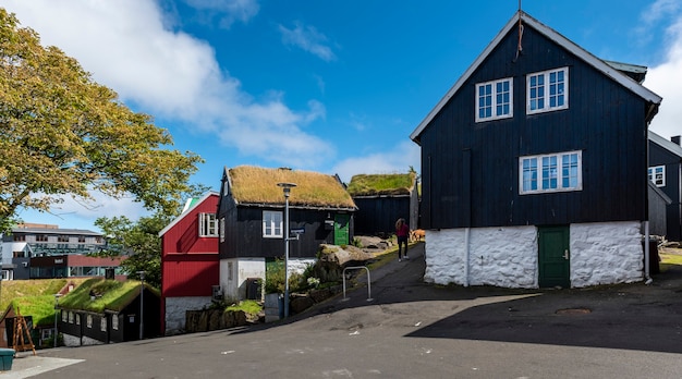 Free photo nordic island houses with grass roofs that are common in the islands