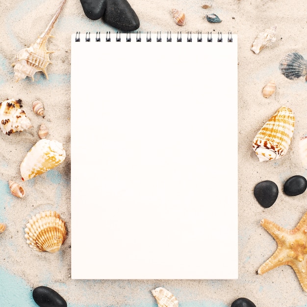 Free photo notebook on sand with shellfish