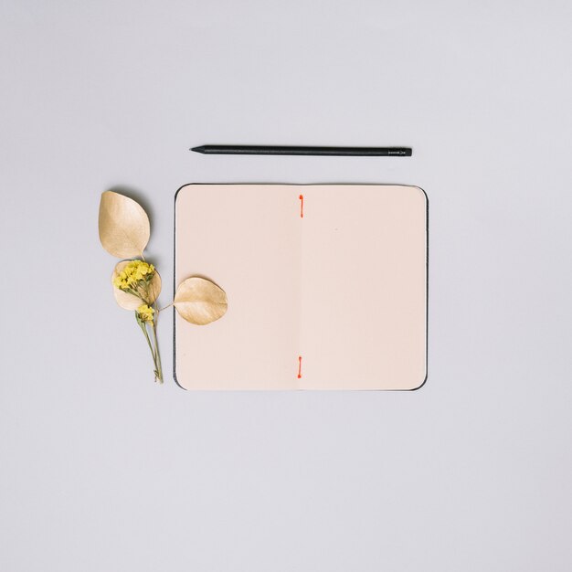 Notebook with flower branch on light table