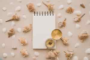 Free photo notepad, compass and seashells