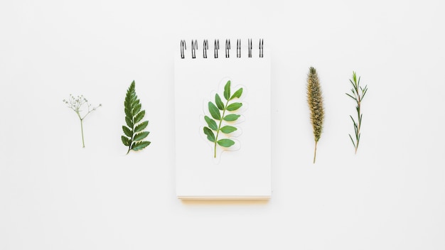 Free Photo notepad concept with leaves