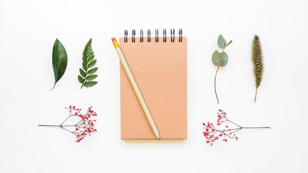 Free photo notepad and leaves