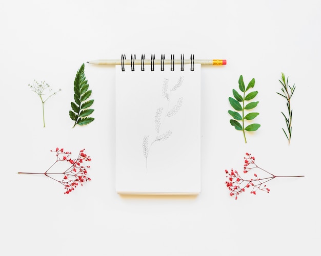 Notepad with pencil and leaves