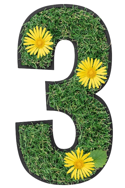 Number 3 made of flowers and grass isolated on white