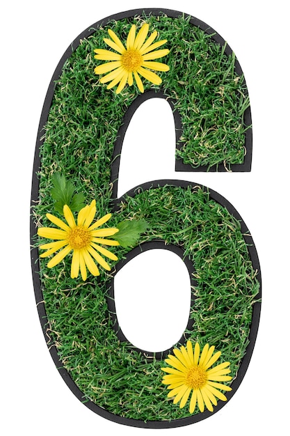 Number 6 made of flowers and grass isolated on white