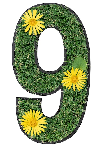 Number 9 made of flowers and grass isolated on white