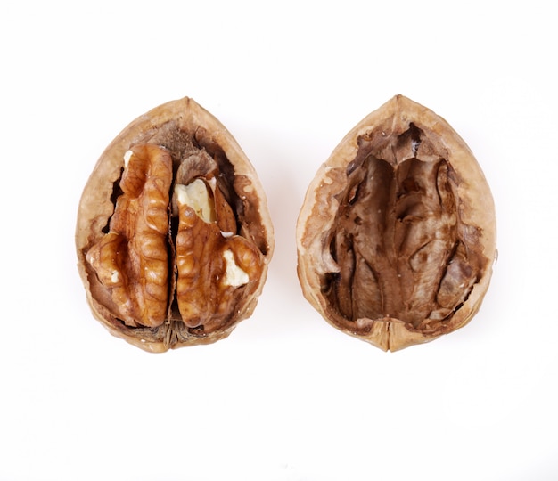 Free Photo nuts. walnuts on a white background