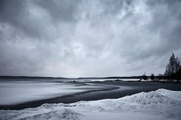 Free photo ocean waves moving towards the shore under the gloomy sky