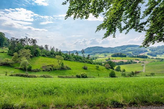 Free photo the odenwald in germany is pure nature