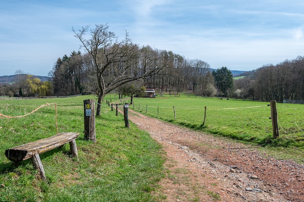 Free Photo odenwald has many benches with great views