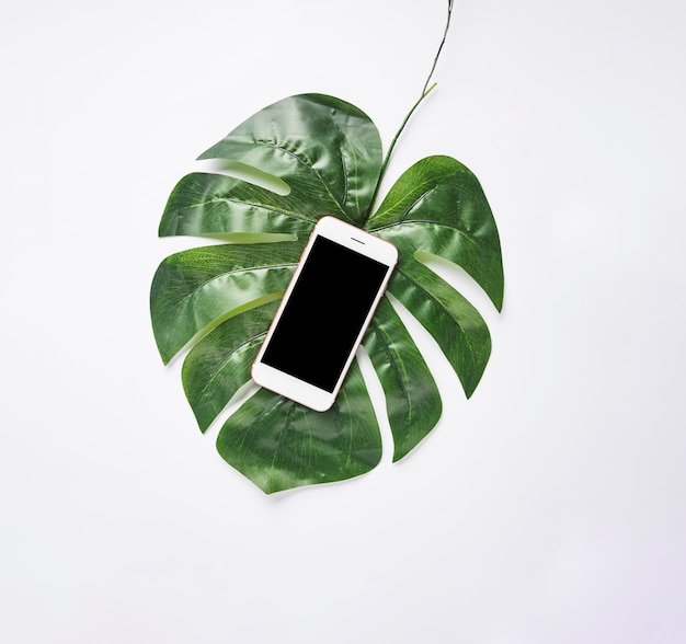 Free photo office desktop with mobile phone and a monstera leaf