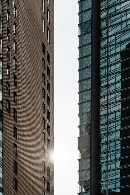 Office skyscrapers with glass facade