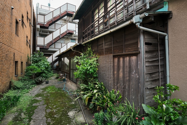 Old abandoned house with green plants