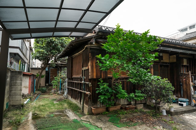 Free photo old abandoned house with rotted wood