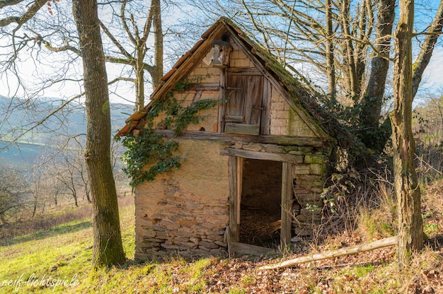 Old abandoned small house on the hill surrounded by trees