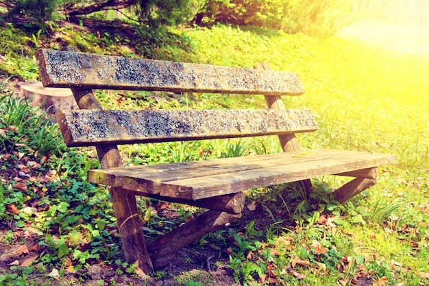 Old bench in the park at summer.