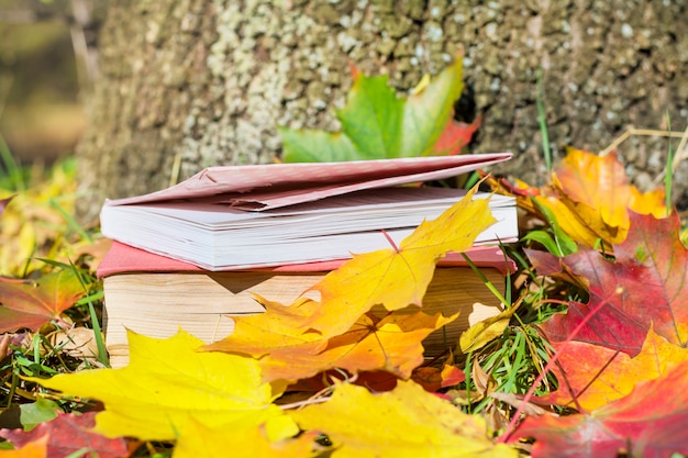 Old books with dry leaves